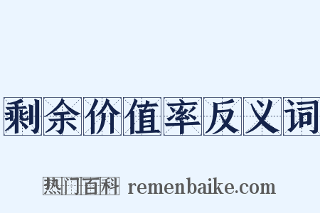 剩余价值率反义词是什么意思的图片